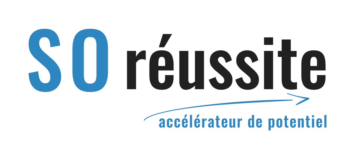 SO Réussite - Coaching scolaire & étudiant ⇒ Strasbourg, Schiltigheim